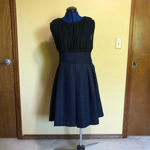 NWOT Walter Baker Dress